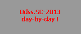 Caixa de texto: Odss.SC-2013 
day-by-day !