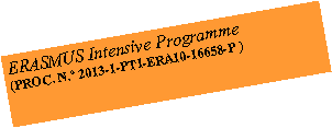 Caixa de texto: ERASMUS Intensive Programme
(PROC. N. 2013-1-PT1-ERA10-16658-P )